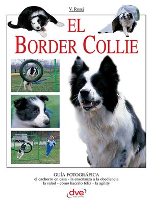 cover image of El border collie